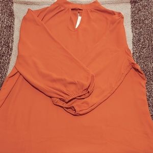 Ashley Stewart Pullover Blouse